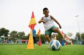 解析迈阿密马林鱼队如何挖掘拉美天才并将其培养为全明星投手