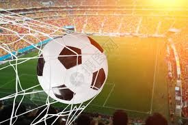 2025 赛季回顾：大谷翔平在夺冠游行中由于高举爱犬 Dekopin 再次引发全球热议